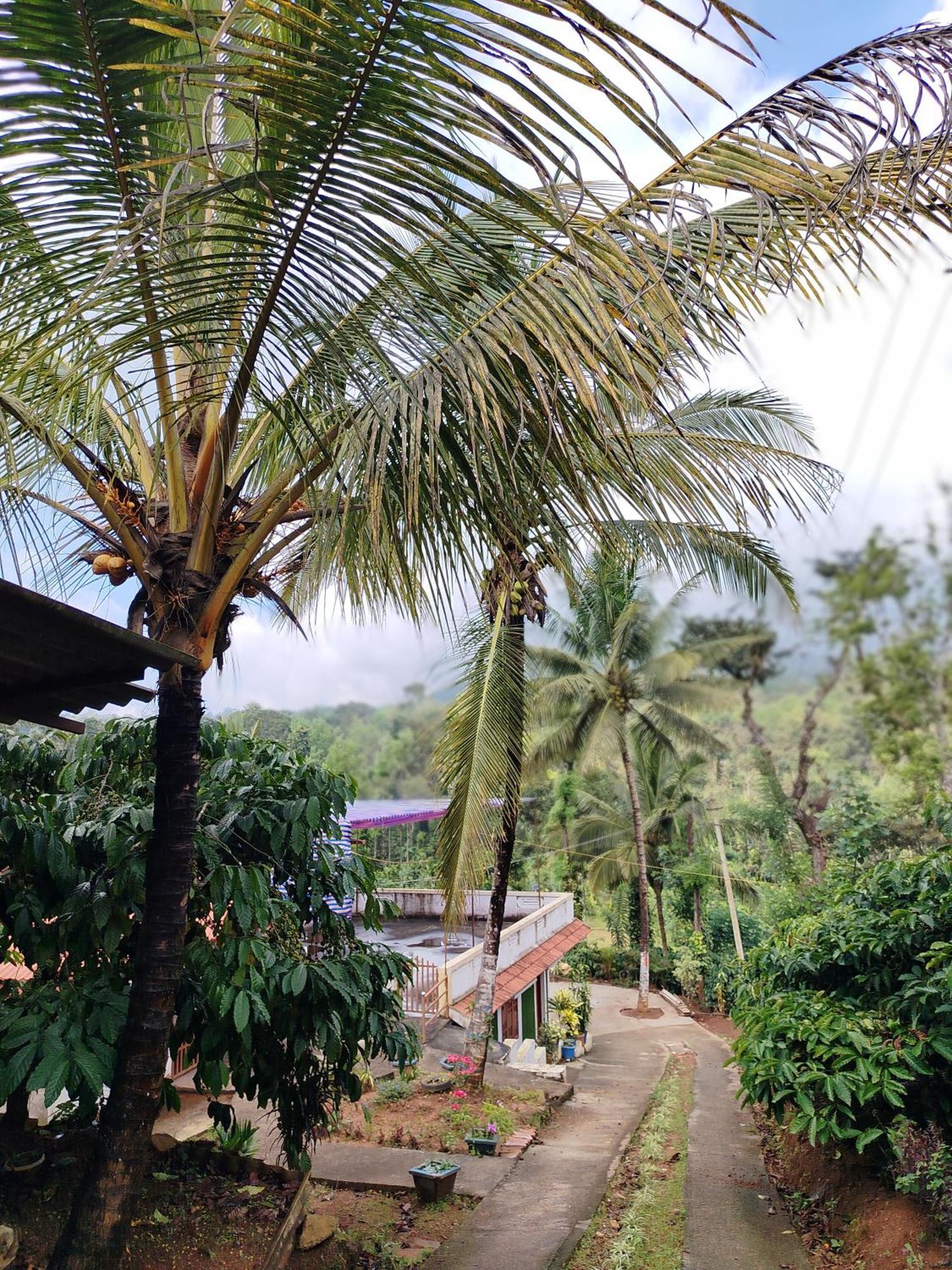 Shivalaya Homestay, Madikeri Siddāpur 외부 사진